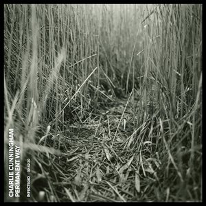 我解开胸罩喂男朋友吃奶
